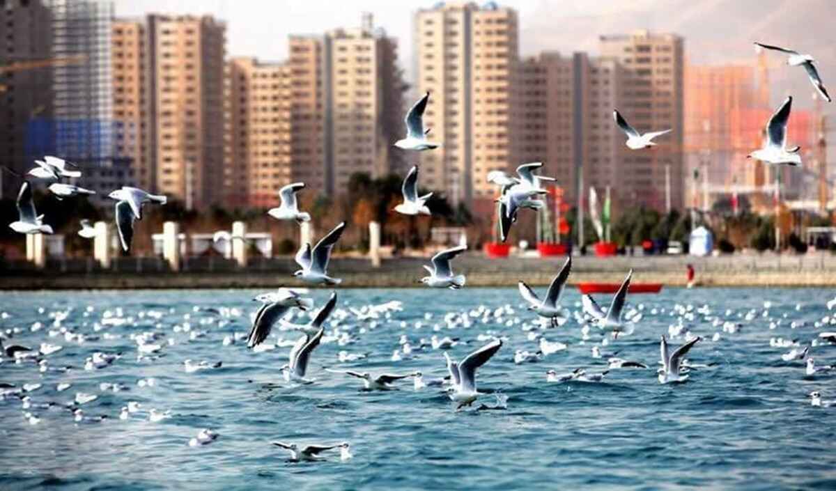 شهرک های اطراف چیتگر