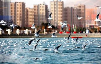 شهرک های اطراف چیتگر